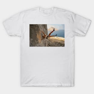 Sasha DiGiulian Human Flag Painting T-Shirt